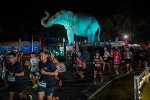 BIB: 
                            <button type="button" onclick="openModal(26552295)" class="btn btn-primary btn-sm float-right btn-popup" data-toggle="modal" data-target=".modal-high-quality">
                        <i class="fas fa-shopping-cart"></i> Add to Cart
                    </button>
                                            <button type="button" onclick="isThisMe(26552295, true)" class="btn btn-success btn-sm float-right btn-popup btn-isme hidden" data-toggle="tooltip" data-placement="bottom" title="นี่คือรูปของคุณใช่ไหม คลิกที่นี่เพื่อเอาเข้าอัลบั้ม">
                        <i class="fas fa-plus"></i> Add to album
                    </button>
                    <button type="button" onclick="isThisMe(26552295, false)" class="btn btn-warning btn-sm float-right btn-popup btn-isnotme hidden">
                        <i class="fas fa-ban"></i> Remove from album
                    </button>